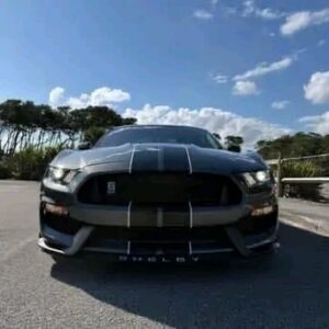 2017 Ford Mustang Shelby GT350