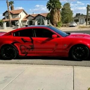 2019 Dodge Charger • Hellcat
