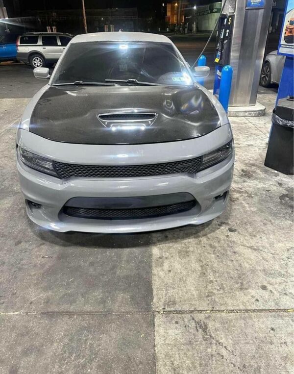 16 cat slim body